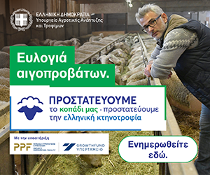 Advertisement 3